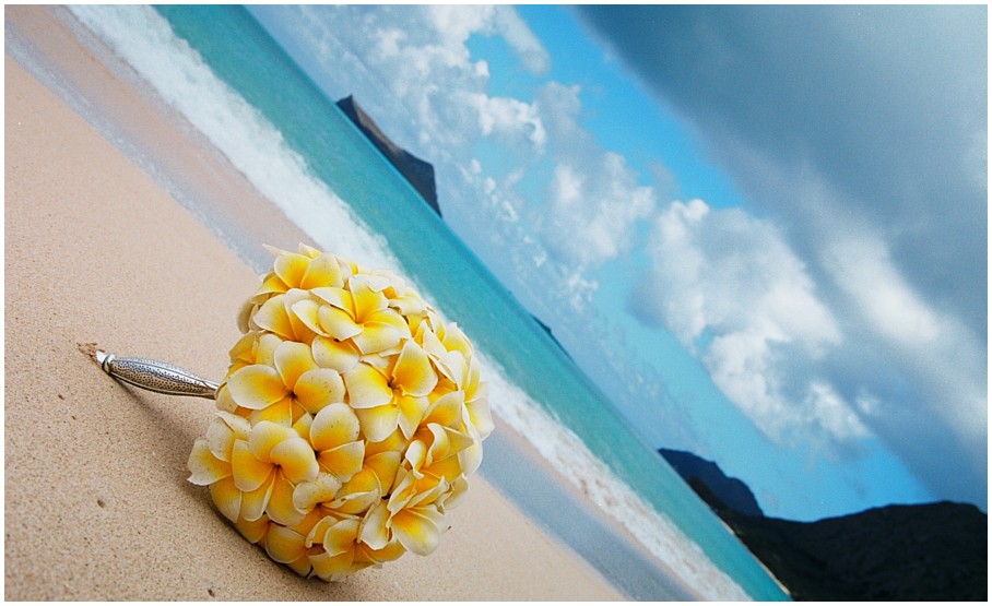 plumeria on the beach at Waimanalo yellow plumeri bouquet